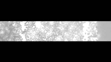 Fertig Research Group: Tensile Failure of Carbon/Epoxy Composite at High Temperature