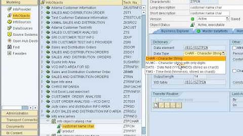 sap bi training_infoobject