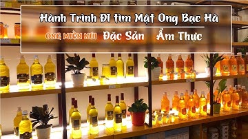 Mùa Mật Ong Bạc Hà trên Cao Nguyên Đá Mèo Vạc, Đồng Văn, Hà Giang