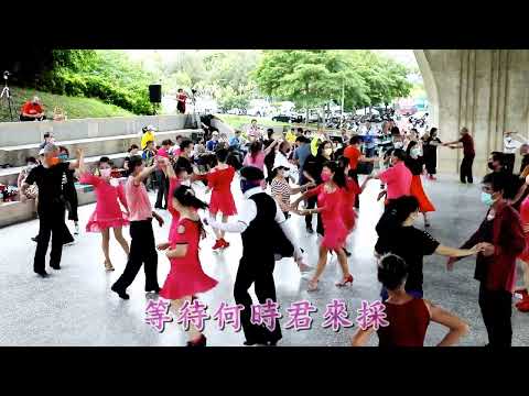 【望春風】卡拉ok 竹坑登山步道休閒廣場龍樂團演奏VS社交舞蹈