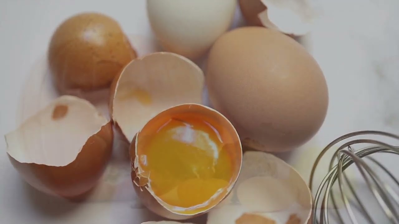 11 Human Foods Your Cat Can Safely Enjoy