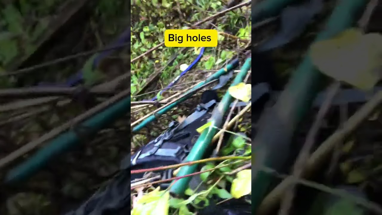 Guerilla grow spot hunt