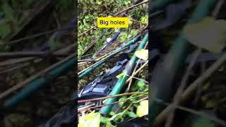 Guerilla grow spot hunt