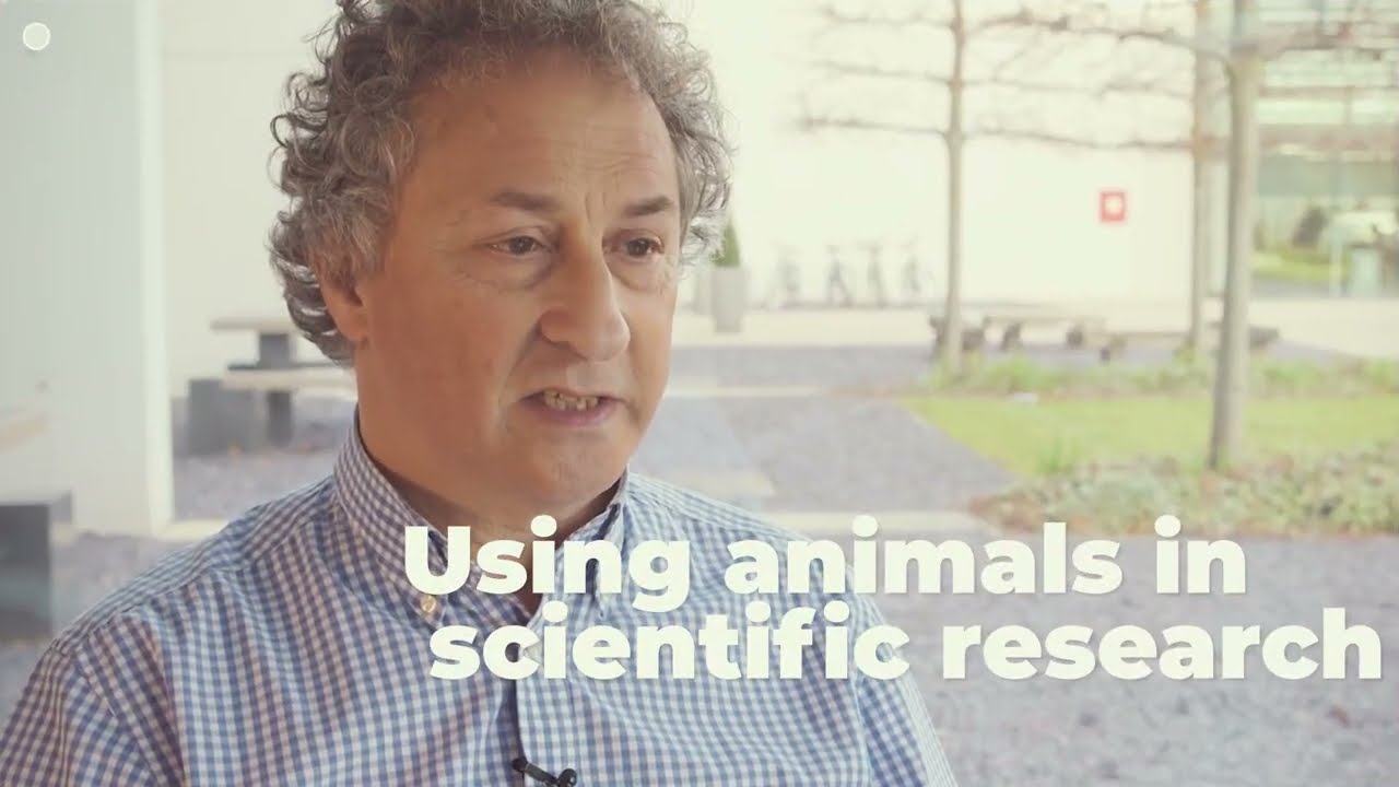 Openness Initiatives In Animal Research YouTube Openness Initiatives In Animal Research YouTube