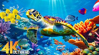 Ocean 4K - Sea Animals For Relaxation, Beautiful Coral Reef Fish In Aquarium (4K Video Ultra HD) #9