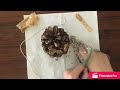 Bird Feeder How To Video 7/21