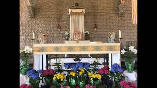 May 9th & 10th 2026 - 6th Sunday of Easter - Mothers Day