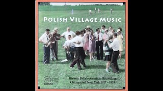 Ethno-American Cd Recordings Arhoolie 731 Polish Village Music 1995 Historic Recordings 1927 - 1933