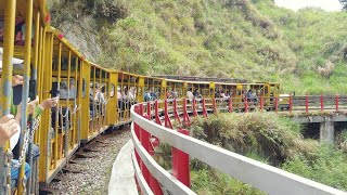 20210512宜蘭太平山槭楓葉,蹦蹦車茂興車站 4K