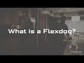 Flexware innovation what is a flexdog 2022