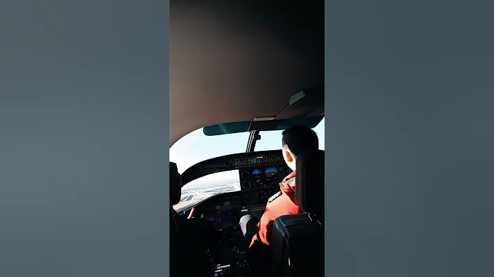 Pilots Fly Every Day! ✈️👨‍✈️ Life in the Sky #Shorts