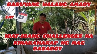 BABUYANG WALANG AMOY | DAY 21 ✅ FATTENER IBATIBANG PROBLEMS AT SOLUSYON SA PAG AALAGA NG BABOY