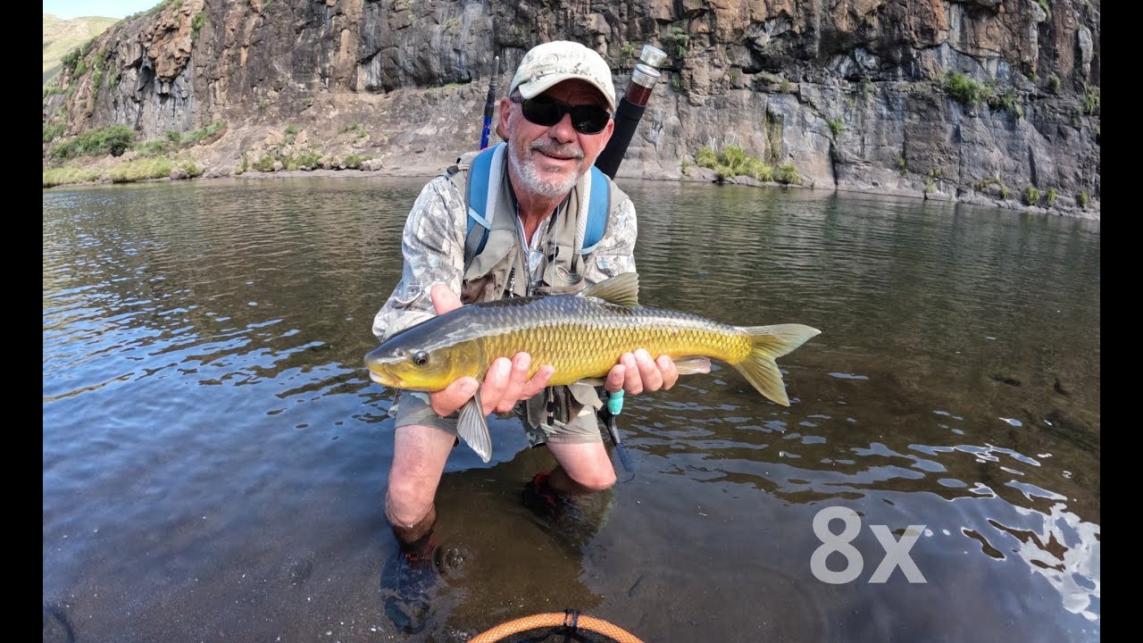 Dry Fly Fishing for Smallmouth Yellowfish in the mountains of Lesotho