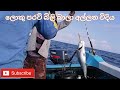 මුහුදේ පාරව් මාළු බිලිබාල අල්ලන විදිය See how to catch big fish from the sea bait