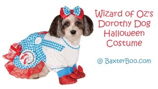 Wizard of Oz Dorothy Dog Halloween Costume