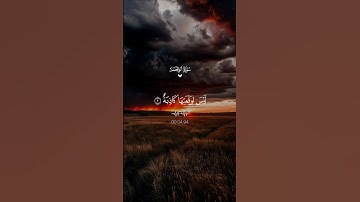 سورة الواقعة…تلاوة تهز القلوب♡| #قرآن #تلاوة_خاشعة #احمد_العجمي #راحة_نفسية #تابعوني #اكسبلور #لايك