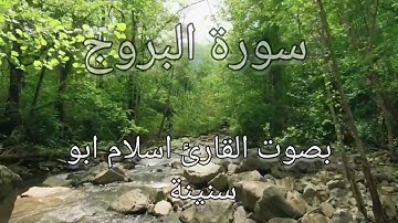 سورة البروج  بصوت  يأخذك  في عالم الهدوء  بصوت القارئ  اسلام ابو سنينة