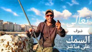 صيد سمك متعه صيد الأسماك في الإسكندرية اما قهوة فاروق واعرف السر الخطير
