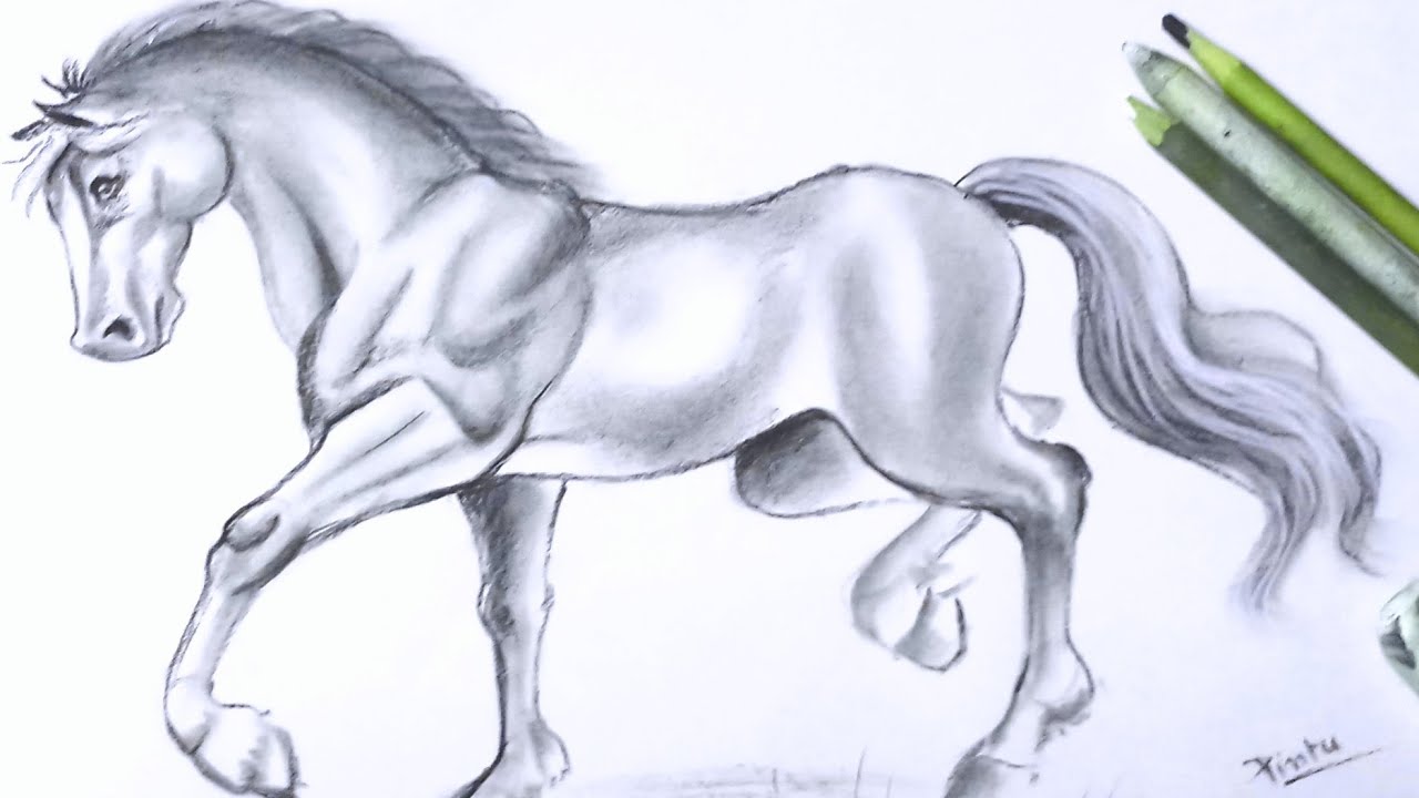 How to draw a horse step by step | Pencil Shading Drawing - YouTube