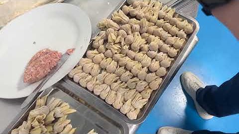 【小馄饨机】#dumplingmaker #wonton #machine #dumplingmakingmachine #dimsumfrozen