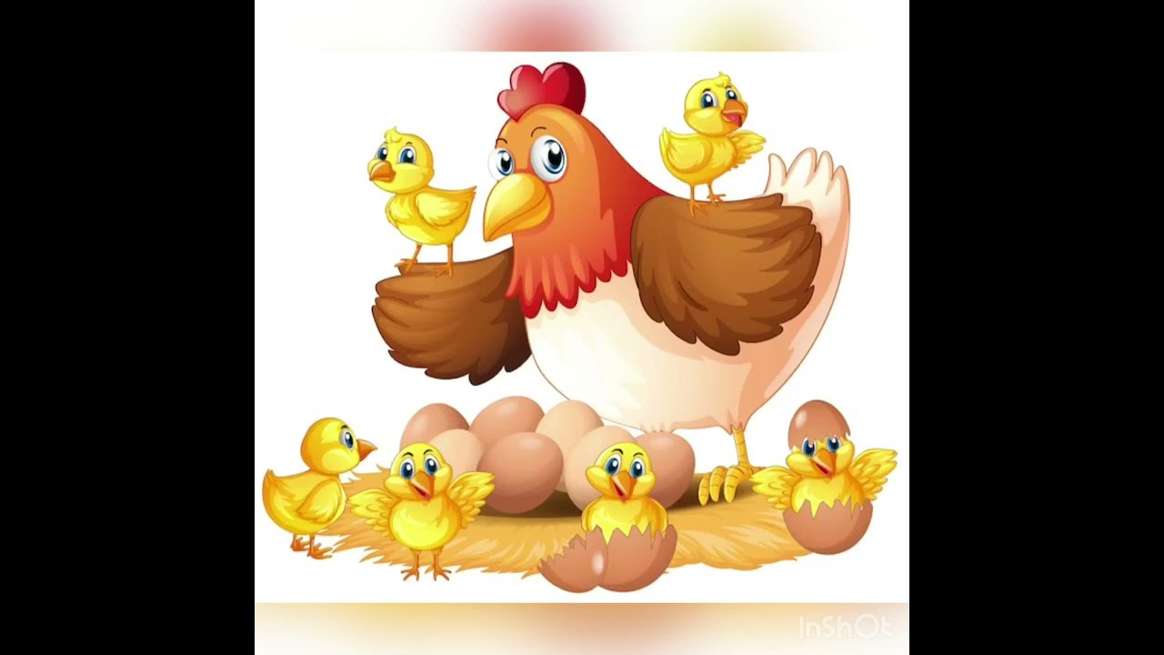 Խաղ-վարժություն«Հավն ու ճուտիկները» Խոսք՝Հասմիկ Միտոյանի Երաժշտ՝ Եվա Գևորգյանի