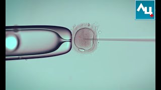 🔴 Вспомогательные репродуктивные технологии (ВРТ) для лечения бесплодия. Репродуктивные технологии.