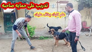 كلاب مصر كلها هنا_ طريقه تدريب الكلب الغبي وتغيير سلوكه