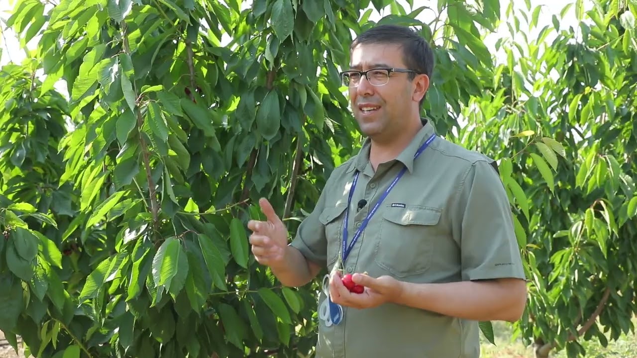 Yalangoch odamlar baliq tutishadi