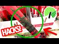 Grab $1 Mini-Trees From the Dollar Store for these UNBELIEVABLE HACKS!🎄CHEAP Christmas Decorations!