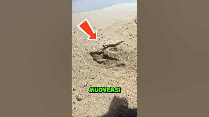 They woke something up under the sand..😱#viral #shorts