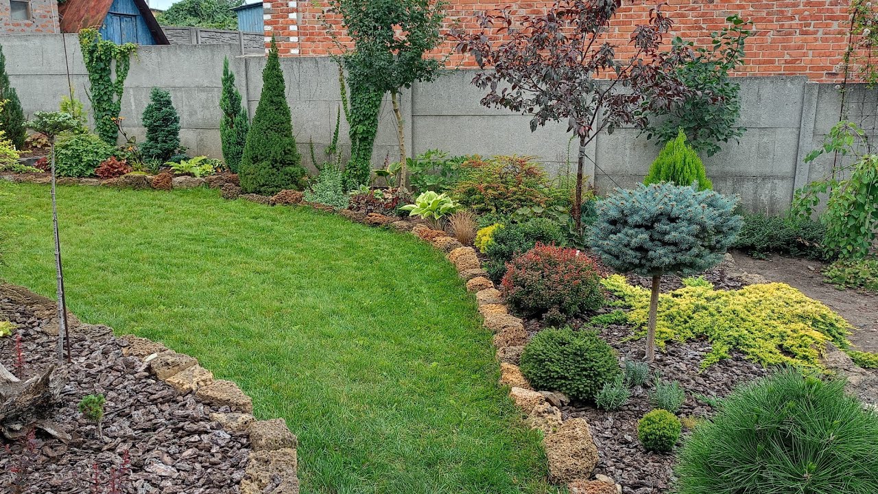 #Хвойні на штамбах. Ділюсь досвідом з початківцями.