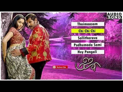Majaa Full Video Songs | Majaa | Majaa Songs | Majaa Video Songs | Vikram | Asin