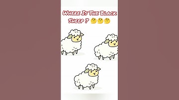 Brain Test: Tricky Puzzle 🤔19 -  25 Level Answers - Game Walkthrough #braintest #braingames