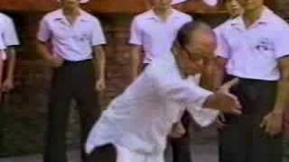 Baji Quan - Liu YunChiao - from Japanese TV show