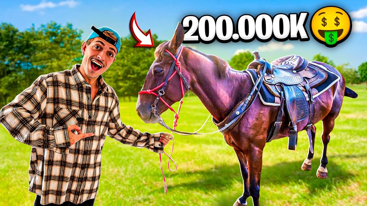 COMPREI O CAVALO MAIS CARO DO BRASIL! *Me arrependi ?*