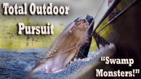 Alligator Hunting Florida Swamps on the Hunt for Giant Gators!