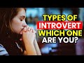 The 5 Types of Introvert - Which one are you