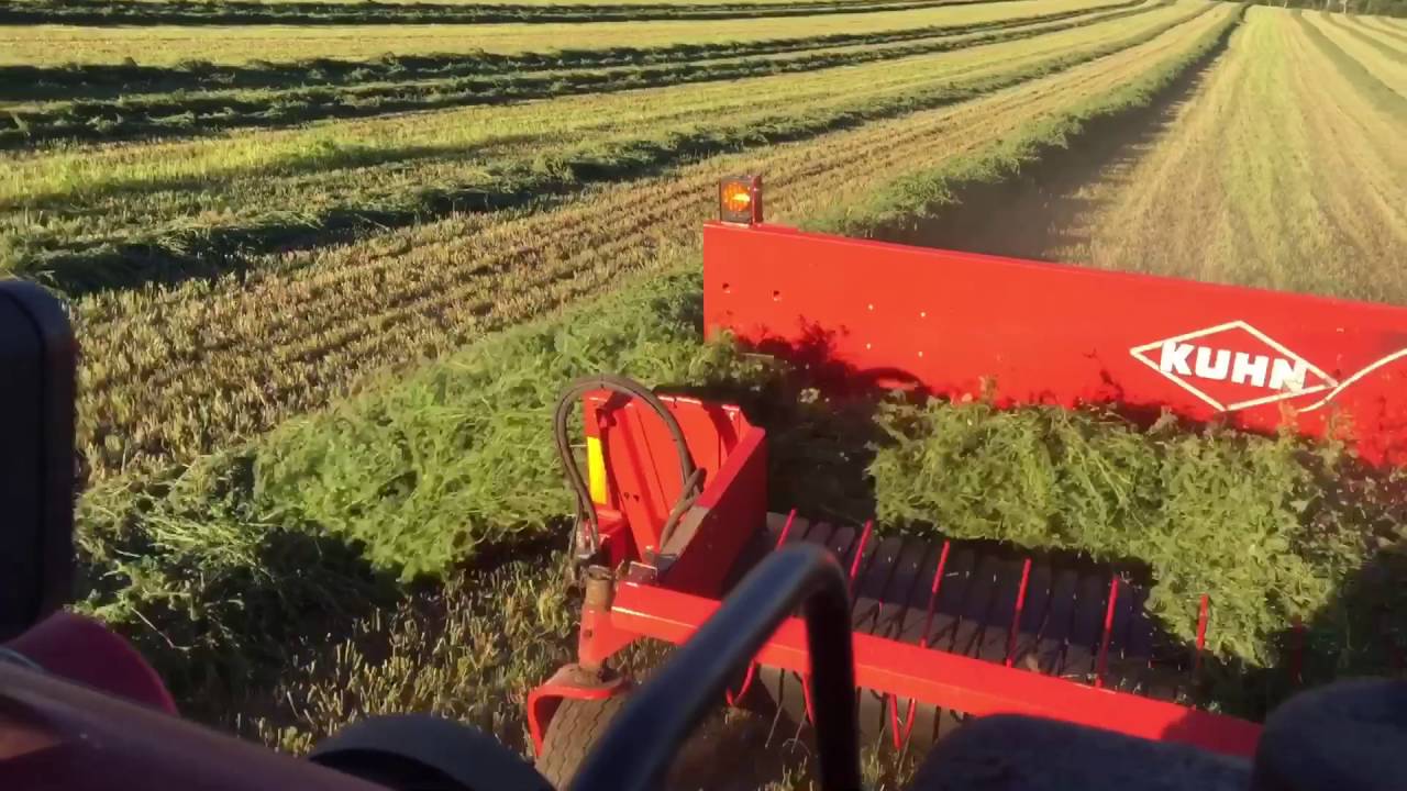Merging Hay - YouTube