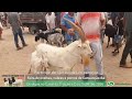 Feira de ovelhas e cabras de Cansanção 1° de fevereiro de 2021| Ganhei uma cabrita