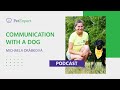 How are you communicating with your dog