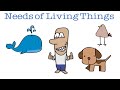 Essential Needs for Life: Water, Air, Energy, and Shelter