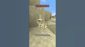 A Useless Item is Becoming Useful!