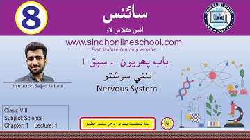 Nervous System | Science Class 8 | Chapter 1 | Lecture 1 | Sindh Online School