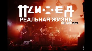 ПСИХЕЯ - РЕАЛЬНАЯ ЖИЗНЬ. LIVE MOD | Санкт-Петербург 04.04.2024 | РАЗНОЕ 4k