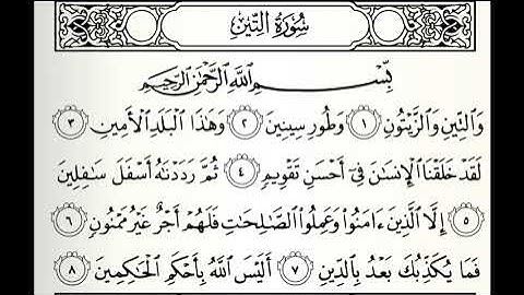 تلاوات مختارة سورة التين القارئ ناصر علي الغامدي