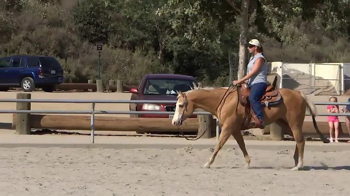 BLONDIE (HD) Western Riding Flying Lead Change