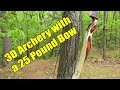 3D Archery with a 25 Pound Bow