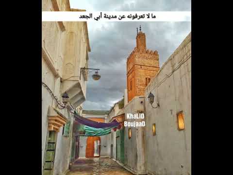 الدكتور الفايد يتكلم عن مدينة أبي الجعد