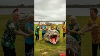 Rescue 5 Heroic Women Save Ducklings And Rabbits Swallowed By Python