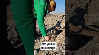 Ateş Yakmayı Pek Özlemişim..